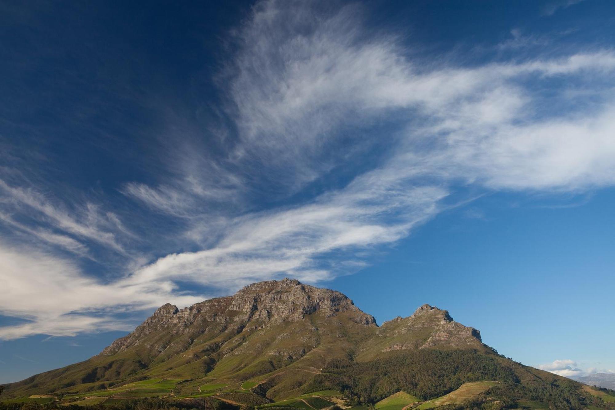 Отель Clouds Estate Стелленбос Экстерьер фото